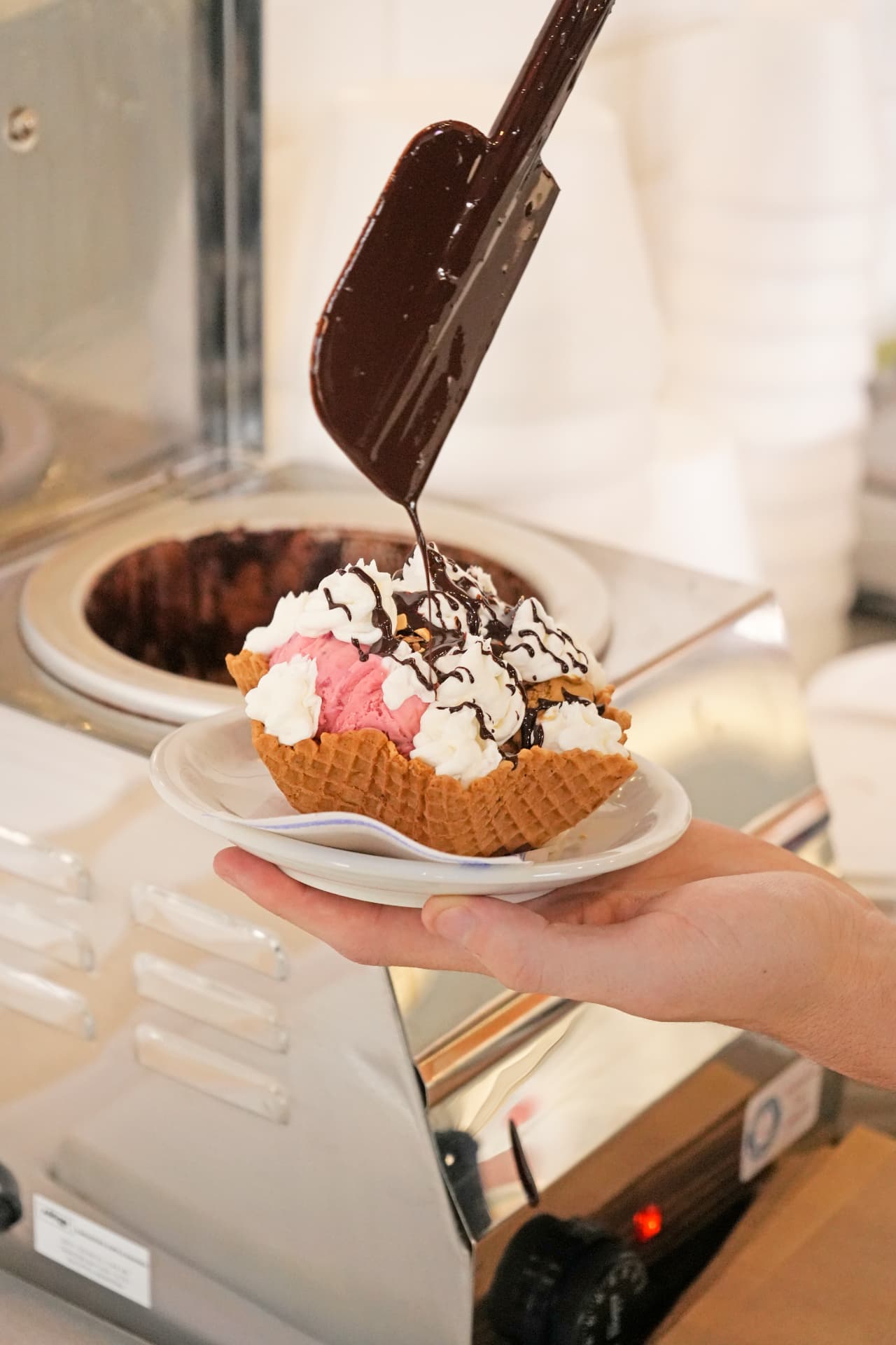 Capelinas Chocolate